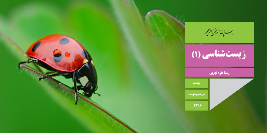 دانلود کتاب زیست شناسی پایه دهم