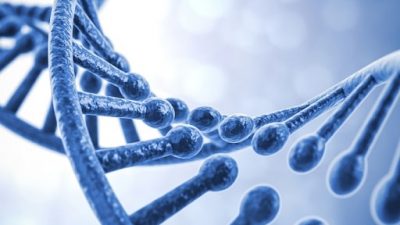 کتاب زیست شناسی پایه یازدهم [معرفی و دانلود]