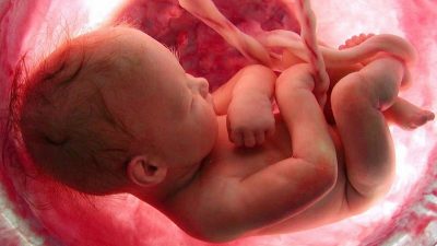 جزوه فصل هفتم زیست شناسی پایه یازدهم