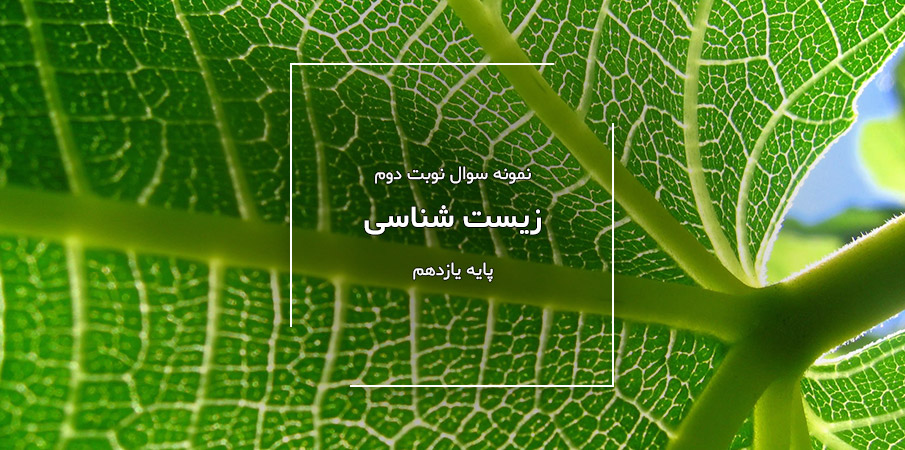 نمونه سوال نوبت دوم زیست شناسی پایه یازدهم