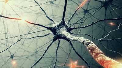 طرح درس زیست شناسی پایه یازدهم